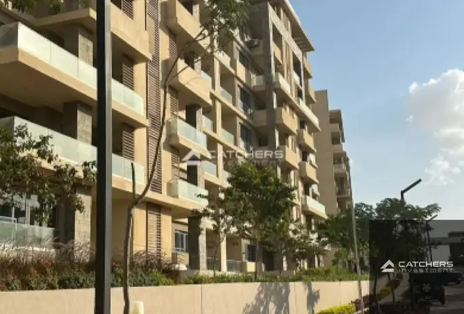 110756232 - Property Image 3