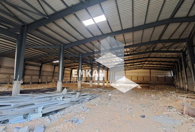 55498356 - Property Image 2