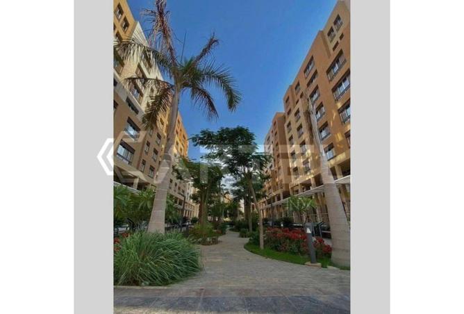 90176672 - Property Image 3