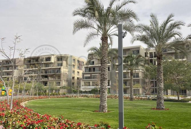 68006276 - Property Image 3