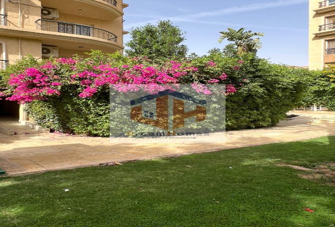75967256 - الصورة الرئيسية للعقار