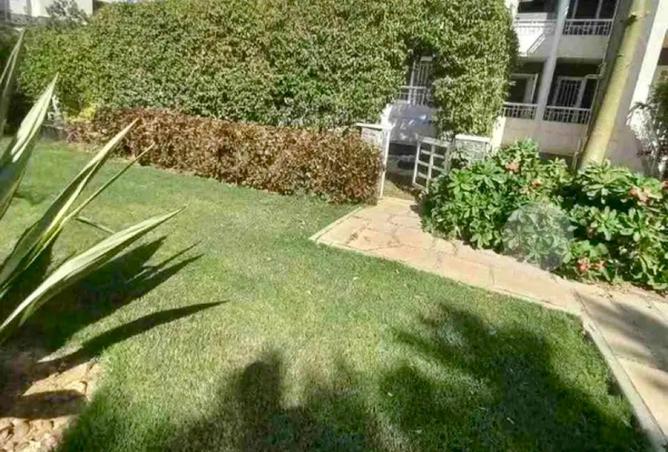 64267755 - صورة العقار 2