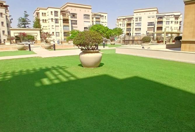 8535228 - Property Image 3