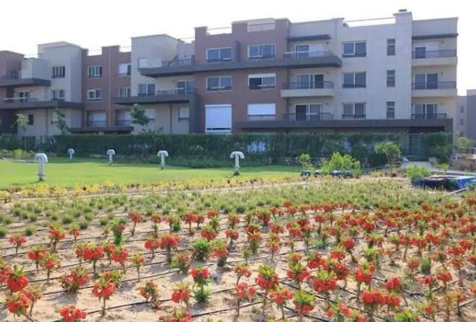 8460666 - صورة العقار 3