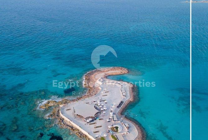 99117920 - صورة العقار 3