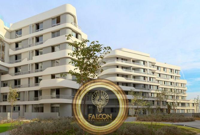 55500987 - Property Image 2