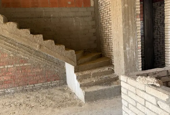 113823216 - صورة العقار 3