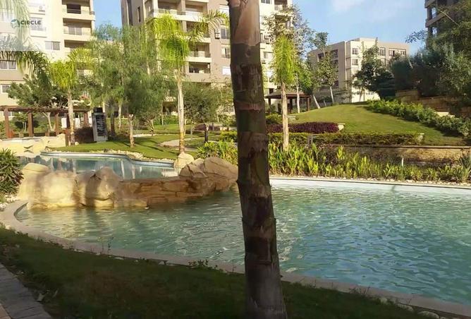 64901609 - صورة العقار 3