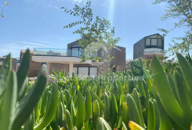 115159416 - Property Image 3