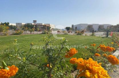 Villa - 4 - 4 for sale in Reef Town - Soma Bay - Safaga - Hurghada - Red Sea