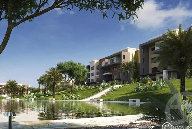 52975466 - Property Main Image