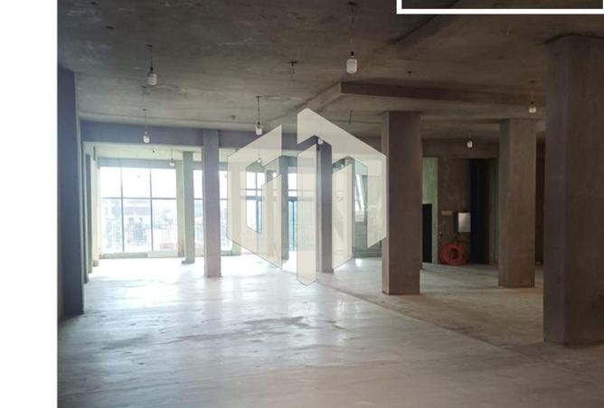 81050167 - Property Image 2