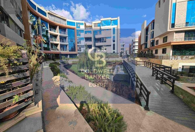 56494305 - Property Image 2