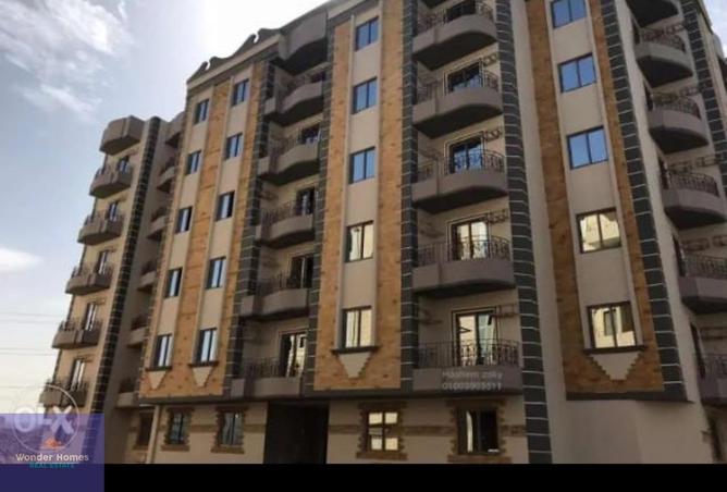 66426238 - Property Image 3