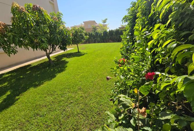 98834965 - Property Image 3