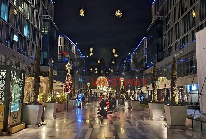 8705395 - Property Image 3