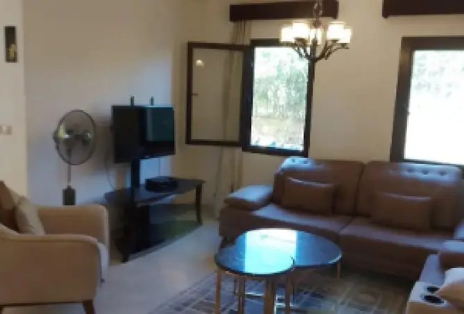 115448012 - Property Image 2