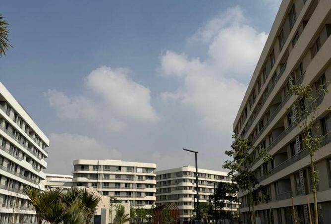 66700164 - صورة العقار 3