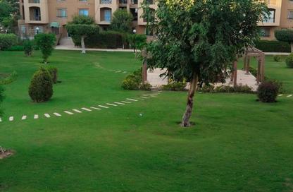 Apartment - 2 - 1 for rent in El Rehab Extension - Al Rehab - New Cairo City - Cairo