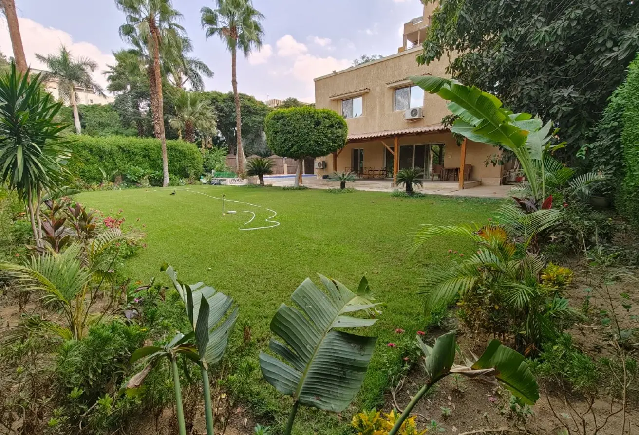 116234594 - الصورة الرئيسية للعقار