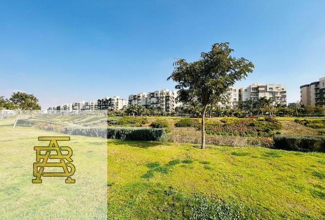 8688160 - Property Image 3