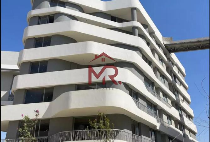 62174391 - Property Image 3