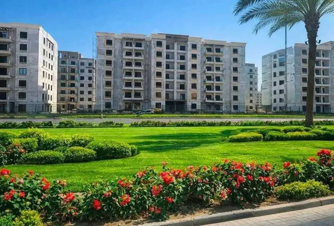 116487944 - صورة العقار 3