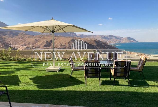 56988041 - Property Image 3