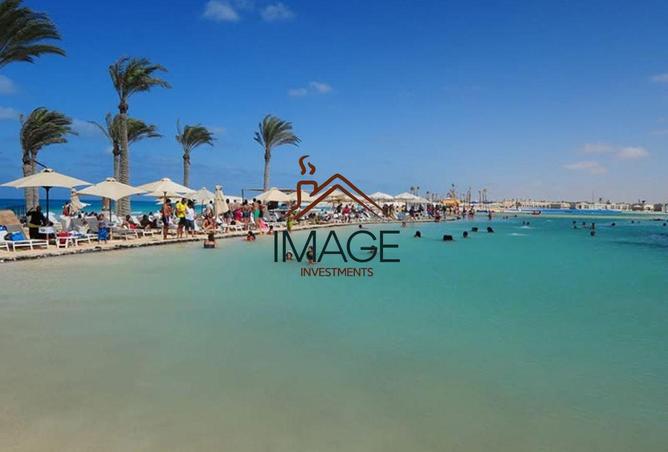 8575119 - Property Image 3