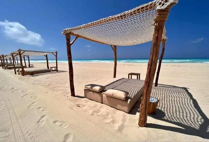 8693145 - صورة العقار 3