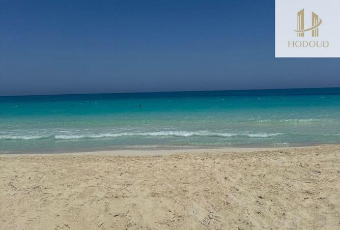 65410096 - صورة العقار 3