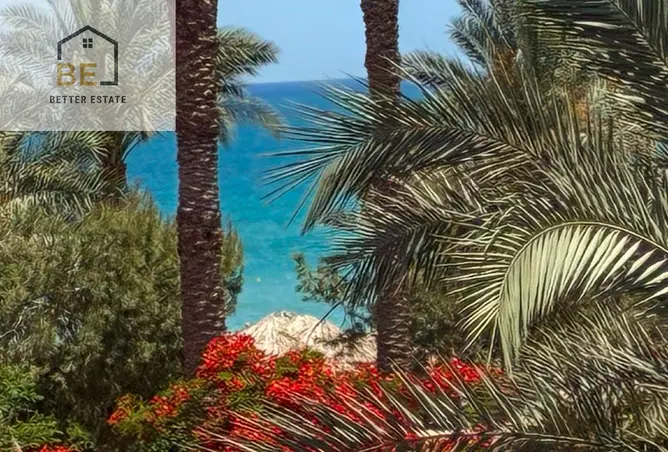 113819405 - صورة العقار 3