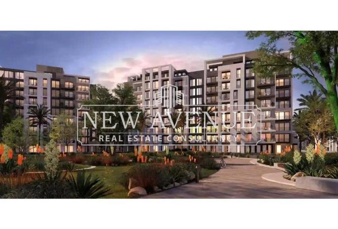 66166542 - Property Image 3