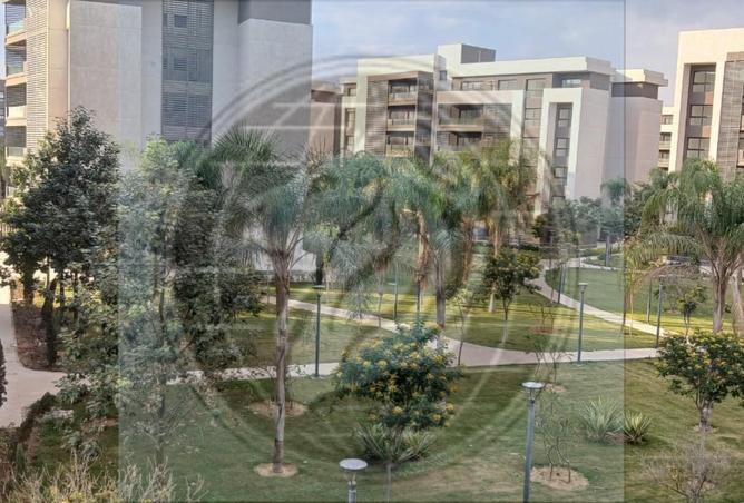 52711923 - الصورة الرئيسية للعقار