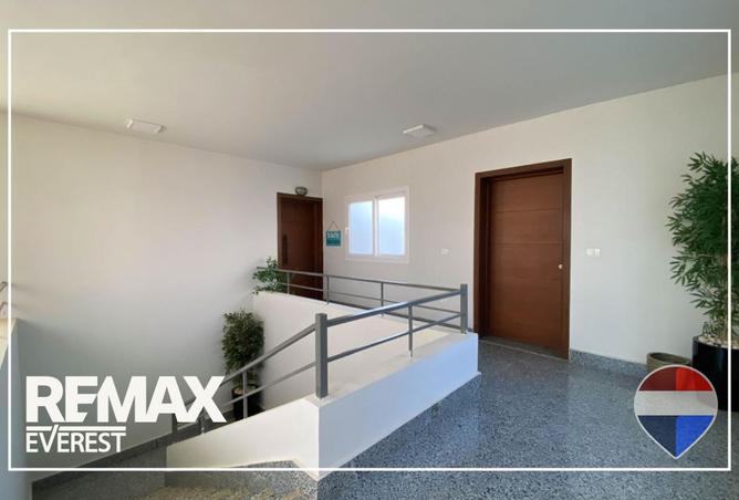 97717515 - Property Image 3