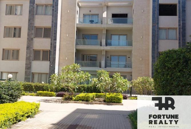 65662786 - Property Image 2