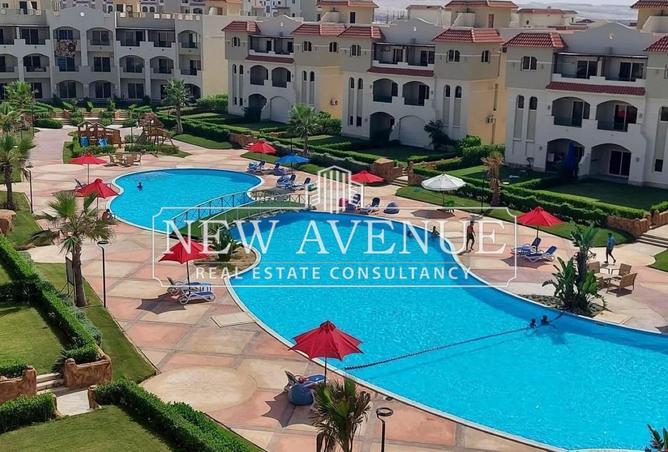 58983478 - Property Image 3