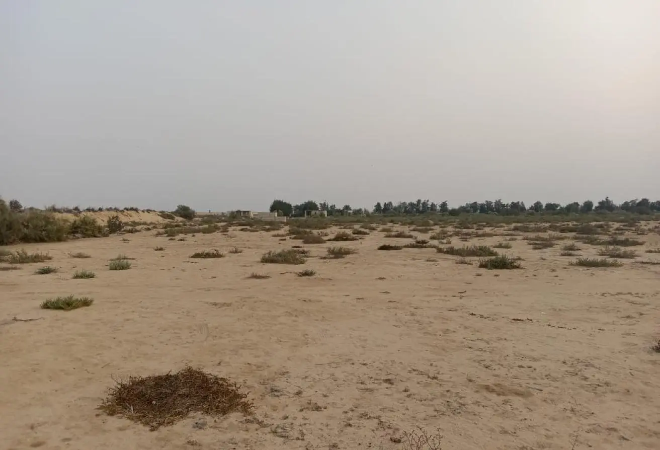 75664958 - الصورة الرئيسية للعقار