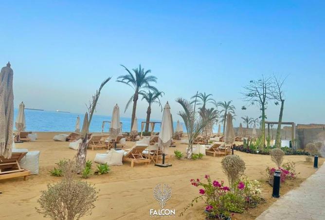 99118742 - صورة العقار 3
