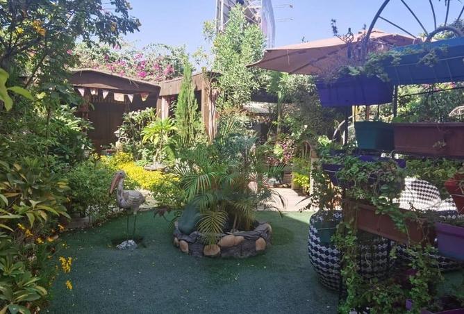 96858616 - صورة العقار 3