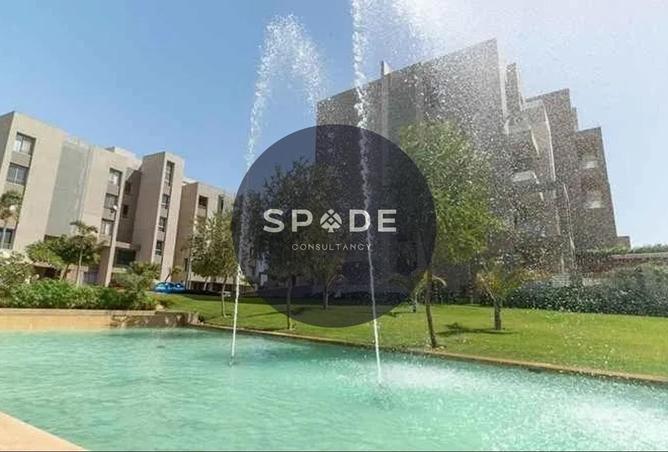 62643113 - Property Image 3