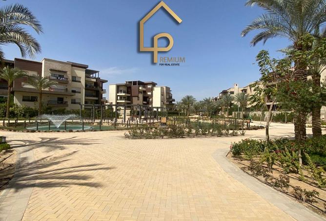 65165556 - Property Image 3