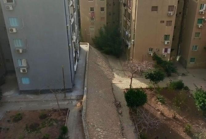 55008397 - صورة العقار 3