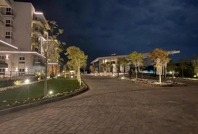 58987756 - Property Image 3