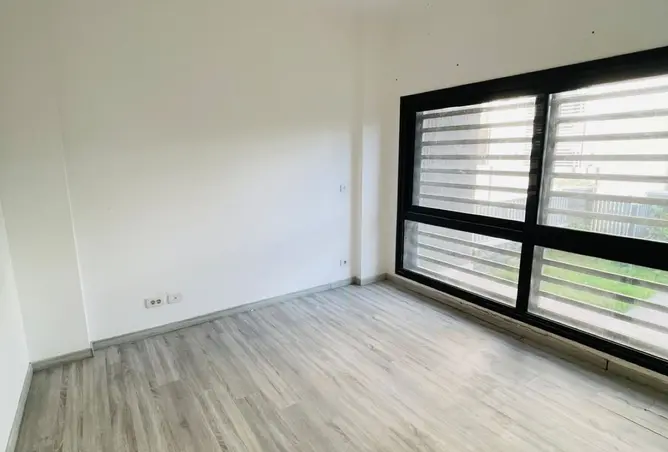 117781053 - Property Image 2