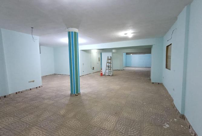 8647594 - Property Image 3