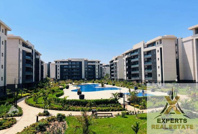 71395633 - صورة العقار 3