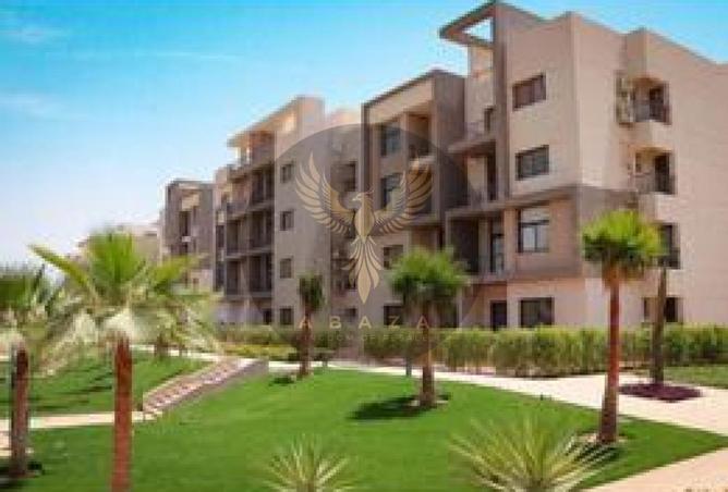 66426971 - Property Image 3