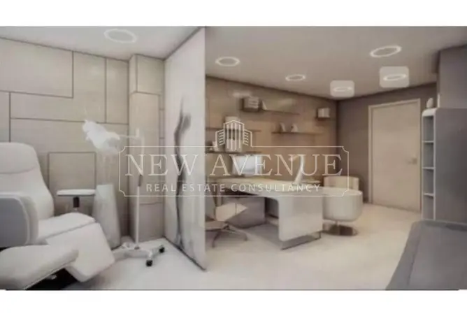 113246721 - Property Image 3