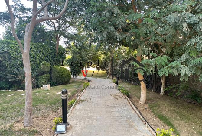 107398511 - صورة العقار 3